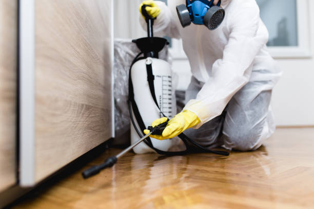 Best Pest Control Near Me  in Red Oak, TX