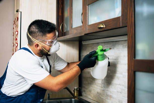 Best Local Pest Control Services  in Red Oak, TX