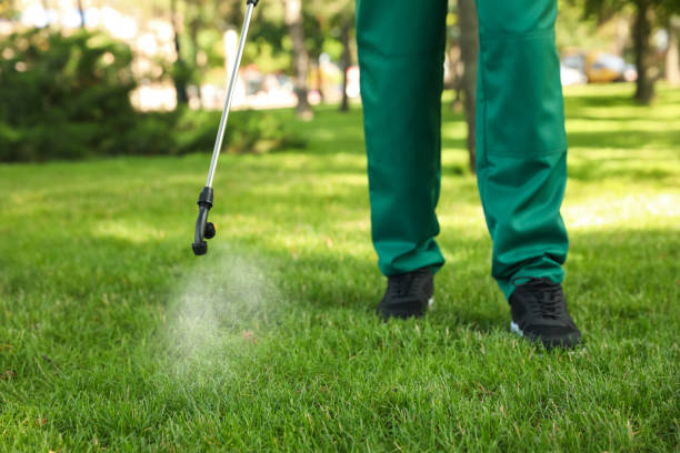 Best Exterminator Services  in Red Oak, TX