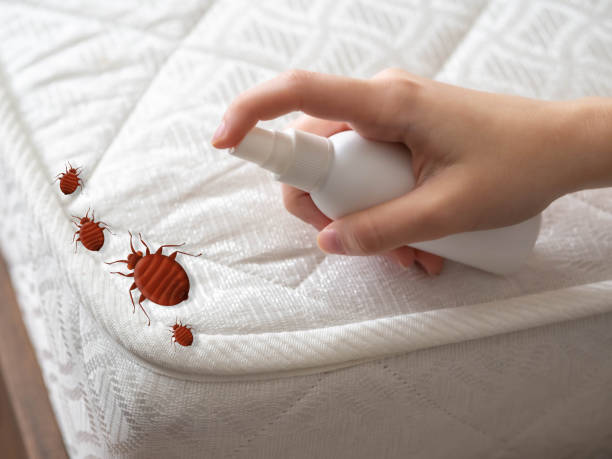 Best Pest Control Cost  in Red Oak, TX