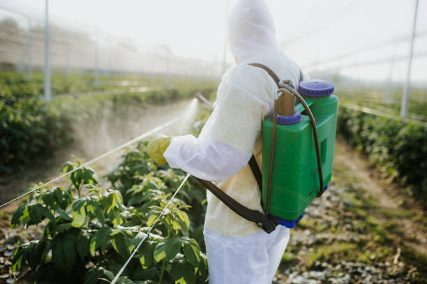 Best Pest Prevention Services  in Red Oak, TX